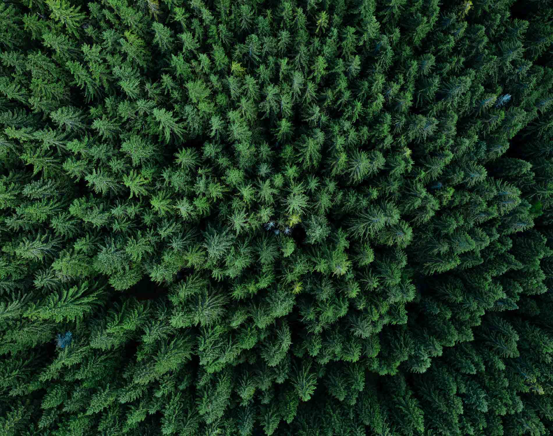 /-/media/images/website/background-images/gpof/nature/adobestock_287887272.ashx