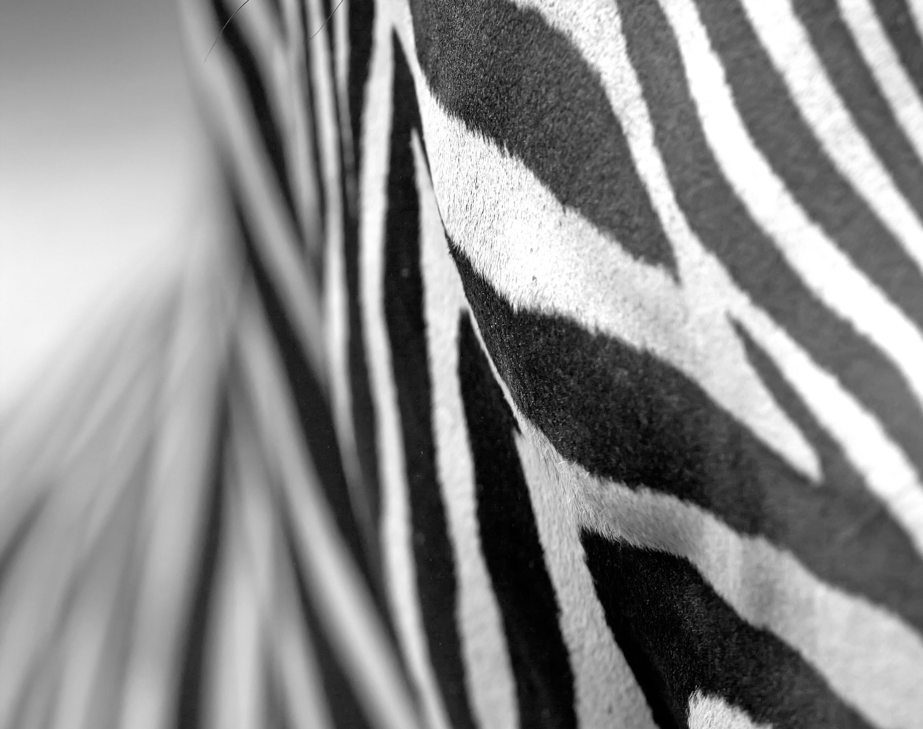 /-/media/images/website/background-images/gpof/patterns/adobestock_53250316.ashx