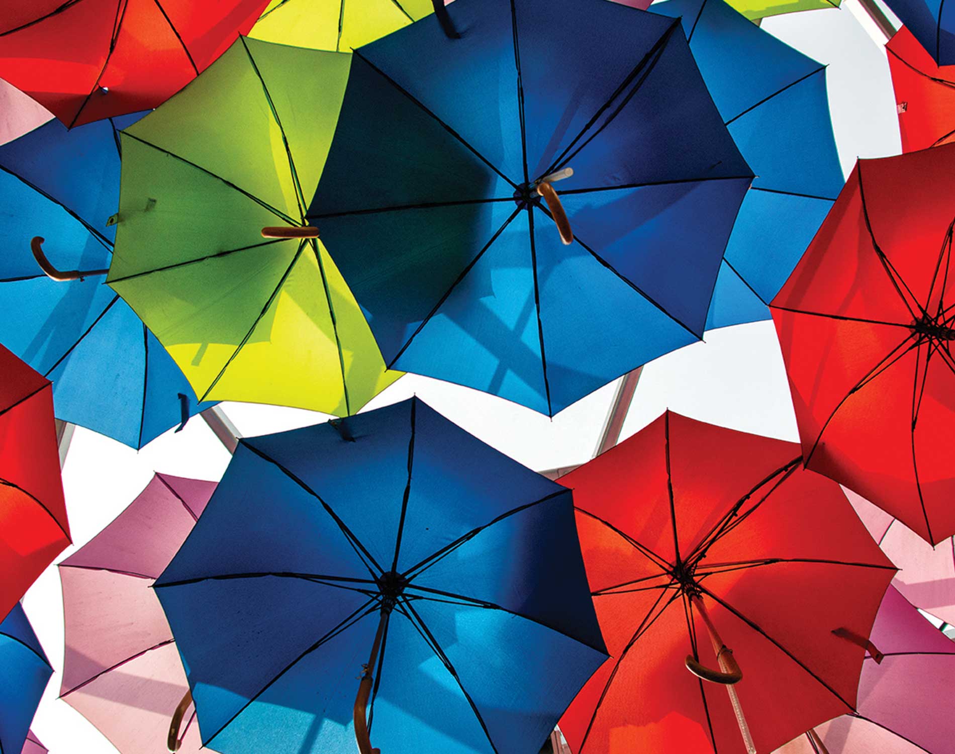 Colorful umbrellas