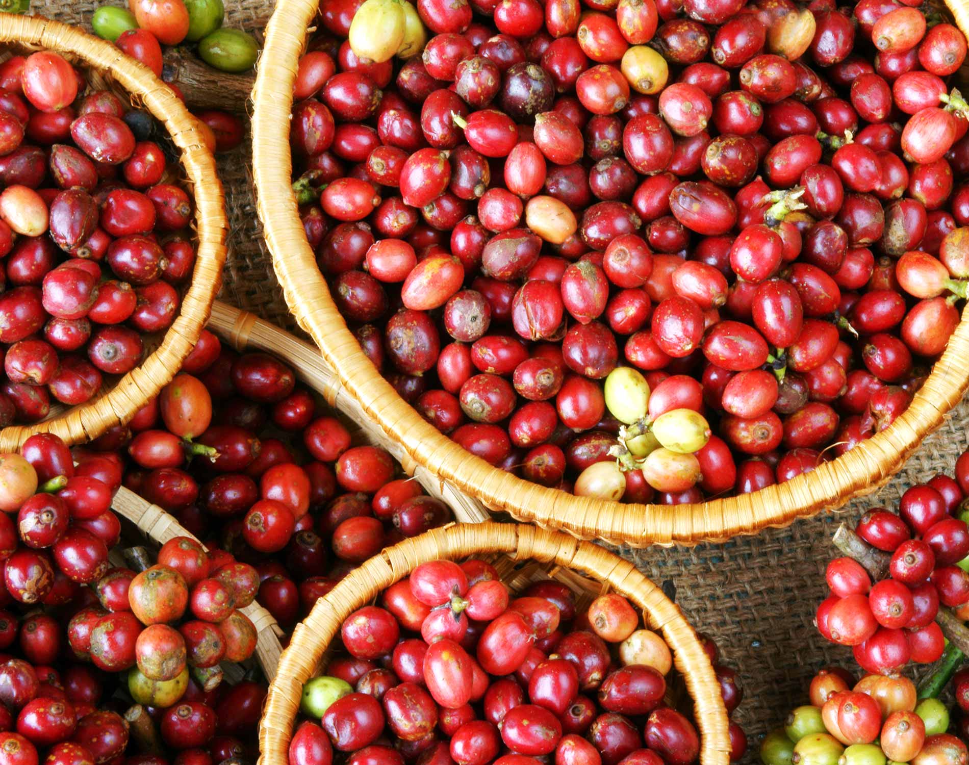 /-/media/images/website/background-images/offices/ho-chi-minh-city/vietnam-web-background-3.ashx